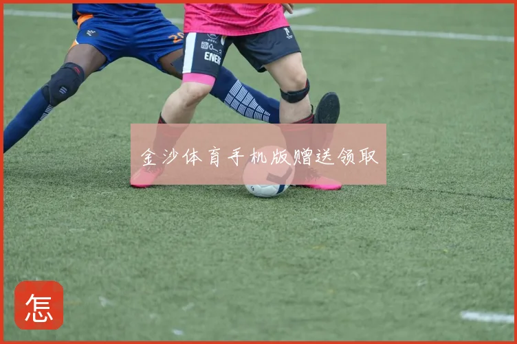 金沙体育手机版赠送领取